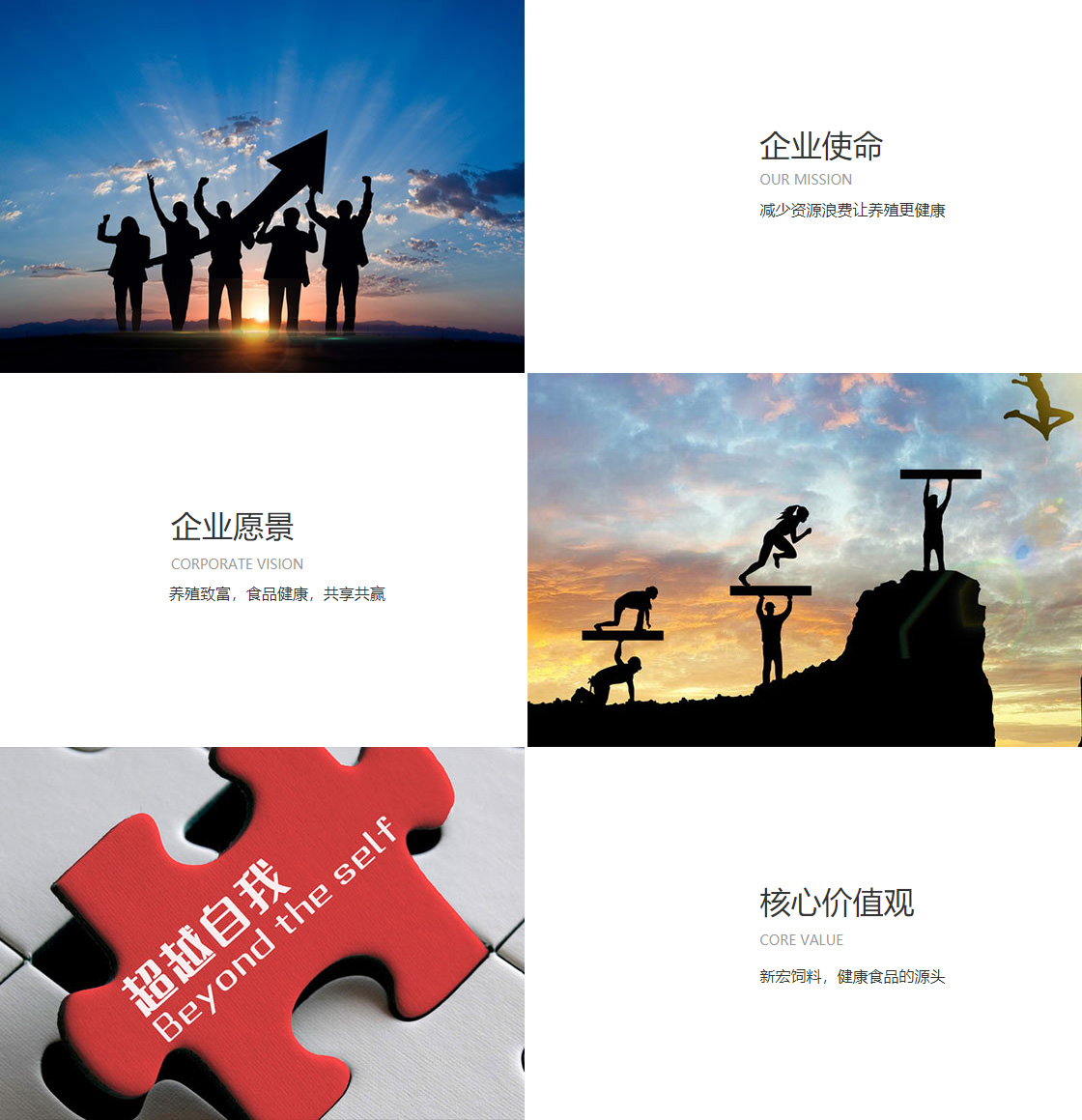 开云体验app官方入口(图1)